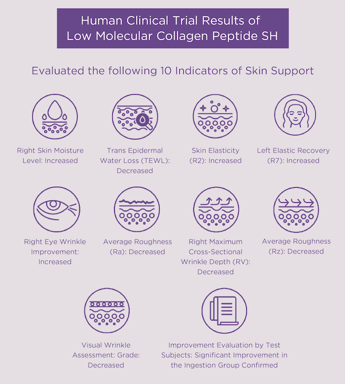 Human clinical trial results for low molecular collagen peptide SH evaluating skin support indicators including moisture and elasticity.