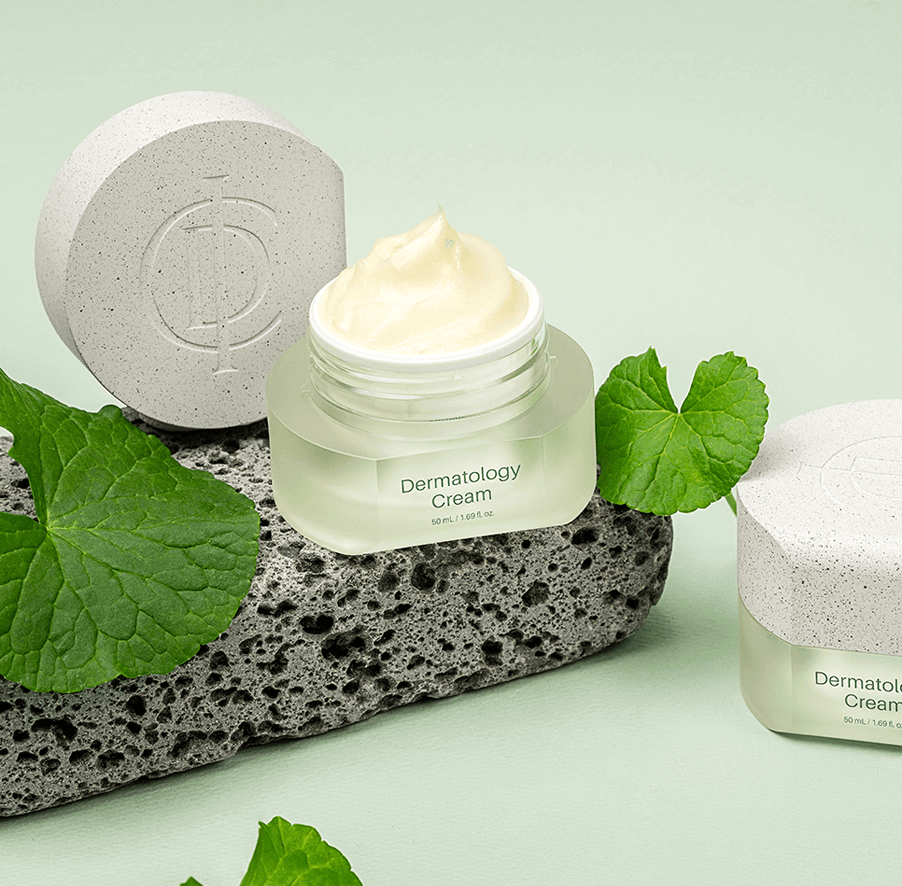 Incellderm Dermatology Cream in glass jar on textured stone with green leaves, showcasing creamy texture and elegance.