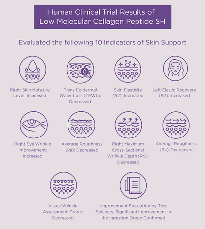 Lifening Beauty Collagen EX Human clinical trial results of Low Molecular Collagen Peptide SH, showing improvements in skin indicators and hydration.